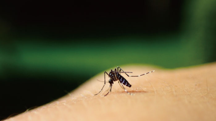 蚊に刺されやすい人や条件